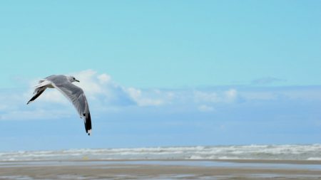 Une petite virée pour découvrir le nord