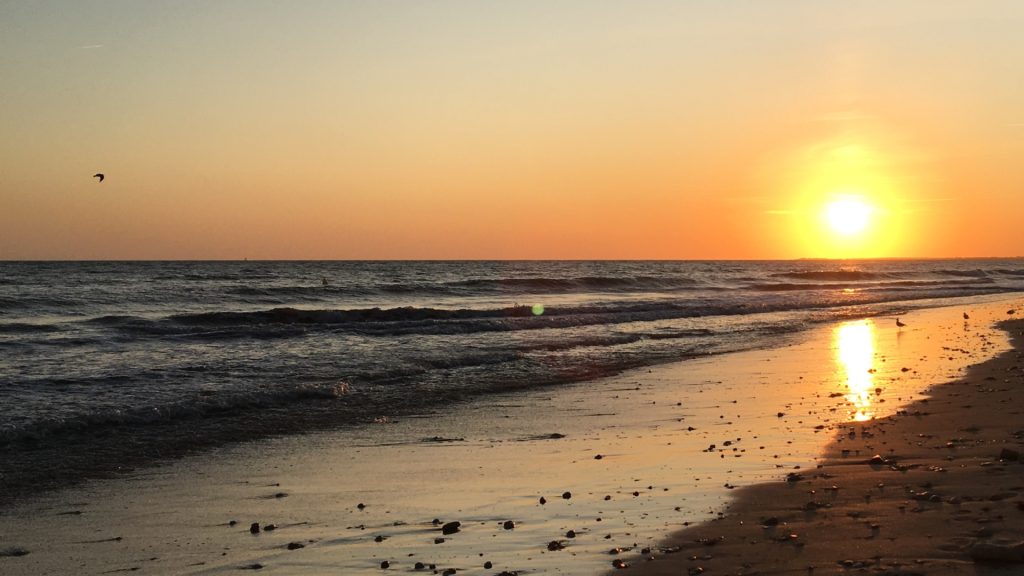 Savourez des vacances de rêve sur l'île de Ré !