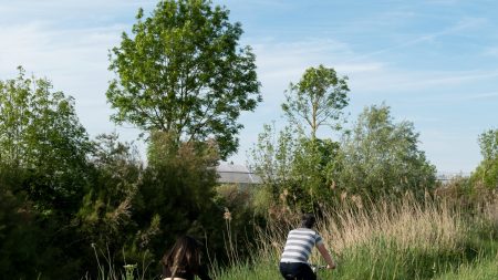 Découverte de la Seine-et-Marne à vélo : des balades et des randonnées inoubliables !